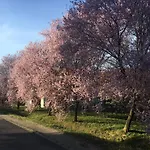 Mecseki Farkaslak Villa