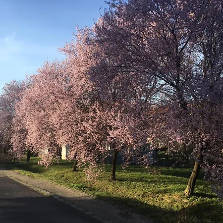 Mecseki Farkaslak Villa