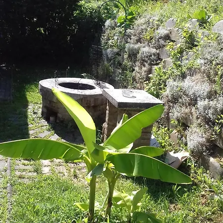 Mecseki Farkaslak Villa *